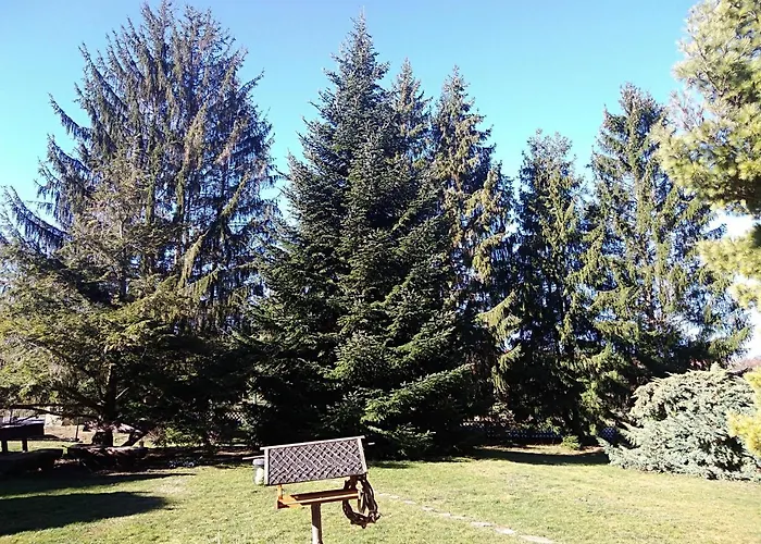 Ferienhaus zum Vogelnest